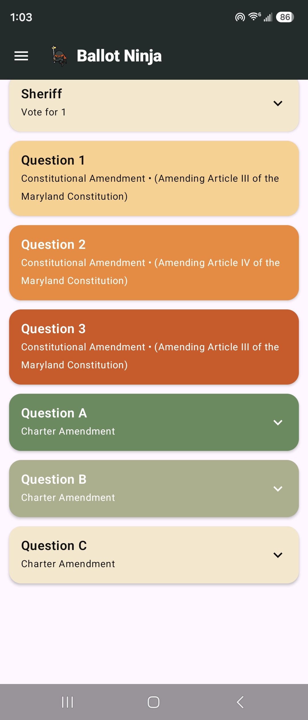 Ballot questions list showing constitutional and charter amendments